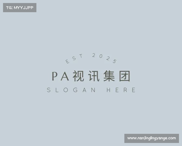 介绍PA视讯集团